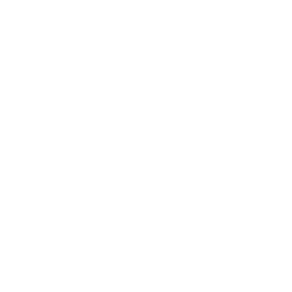 North Texas Fix it Pros logo