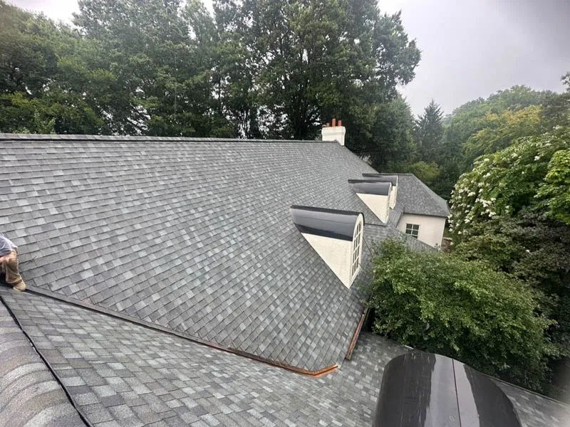 Big Anchor Roofing & Gutters photo 2