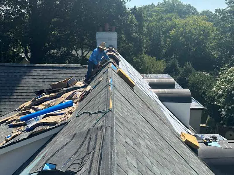 Big Anchor Roofing & Gutters photo 3
