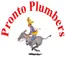 Pronto Plumbers Inc logo