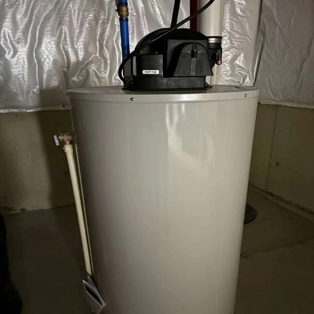 The Honest Plumbers & Drain Services of Dearborn photo 9