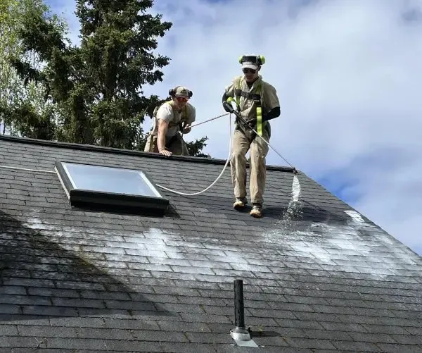 Greener Shingles Alaska photo 1