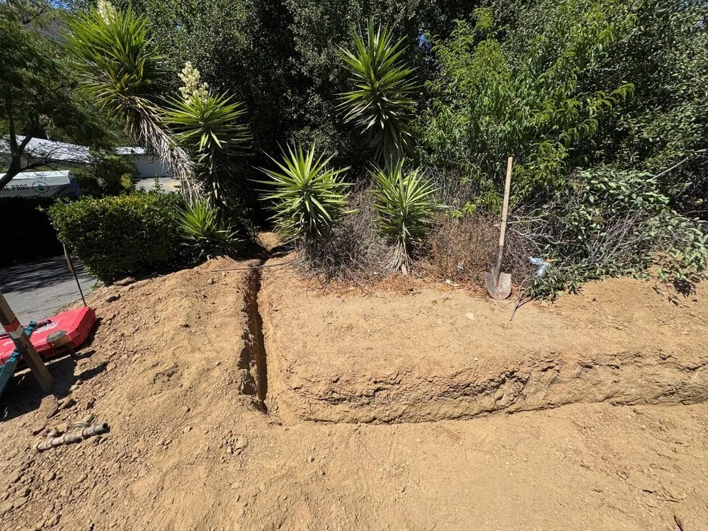 The Pro's Plumbing & Drains photo 4