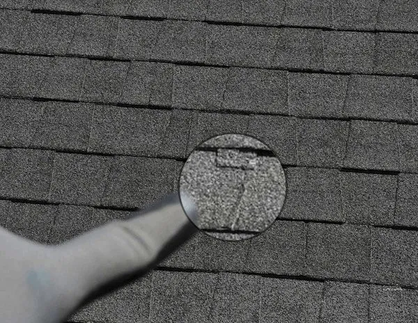 Roof Doctors Los Angeles photo 3