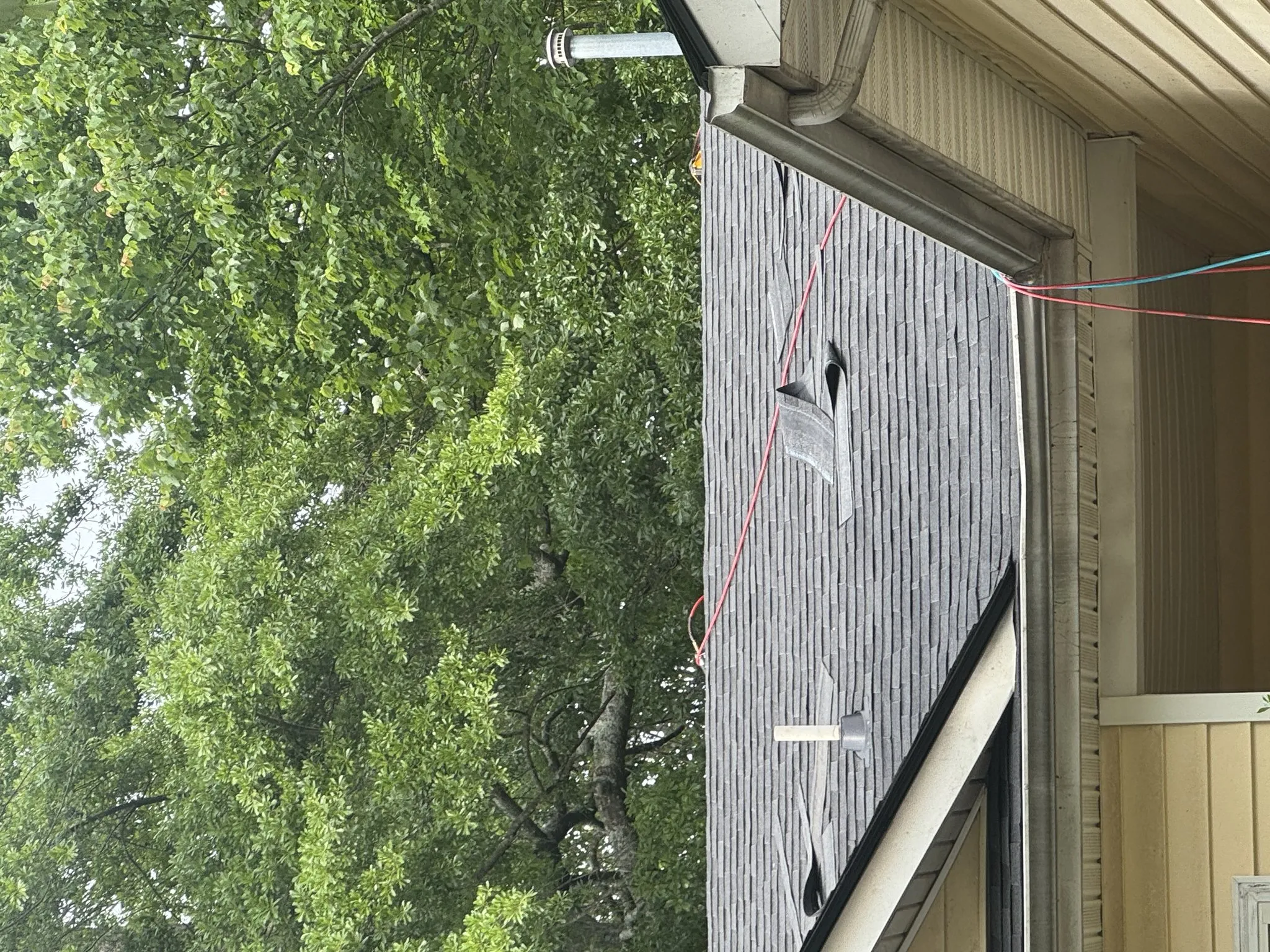 Blue Leaf Roofing photo 1