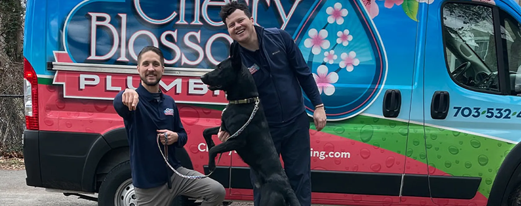 Cherry Blossom Plumbing photo 1