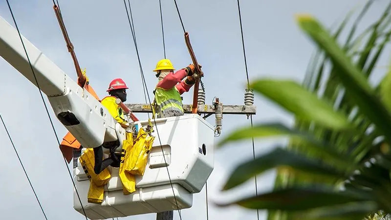 Hawaiian Electric Company photo 3