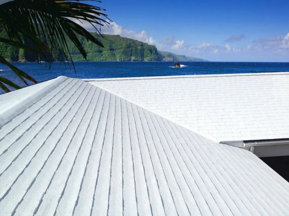 LeakMaster Roofing photo 8