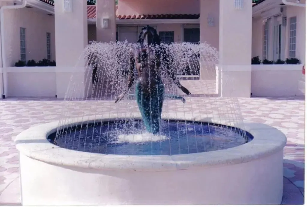 Artistic Pools and Waterfalls photo 13