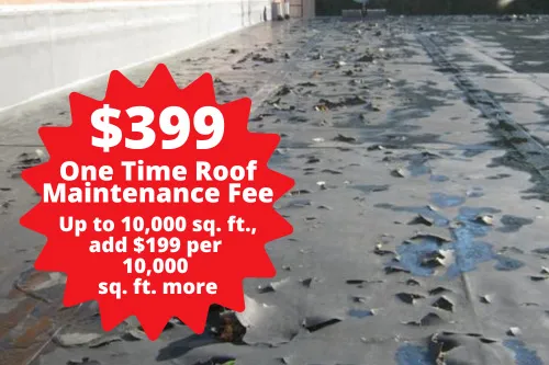 Roof Repair PHD photo 5