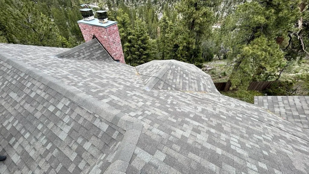 Nevada Exteriors photo 6