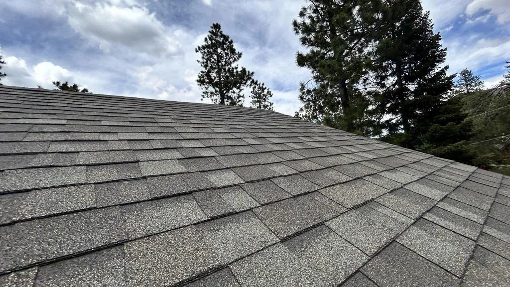 Nevada Exteriors photo 1