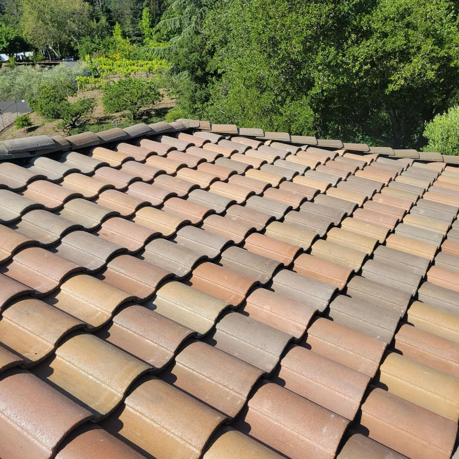 Rango Roofing Company photo 19