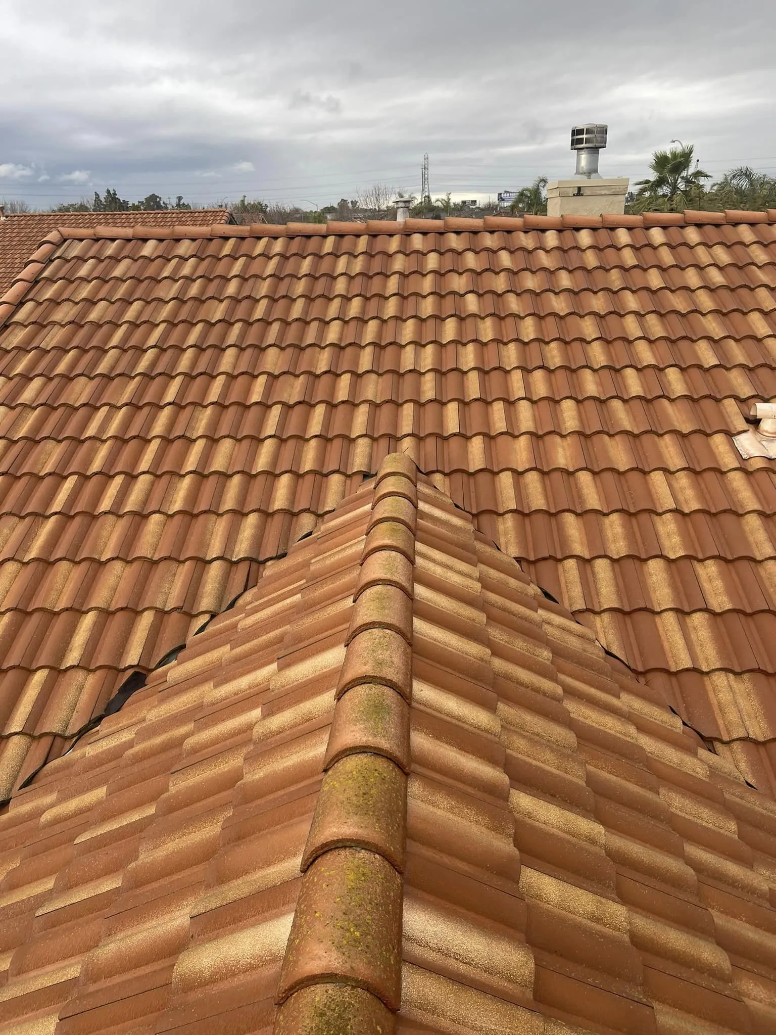 Rango Roofing Company photo 6