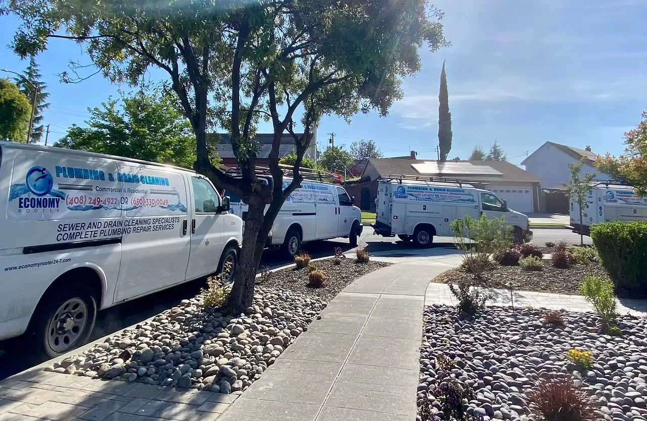 Economy Rooter Inc. photo 1