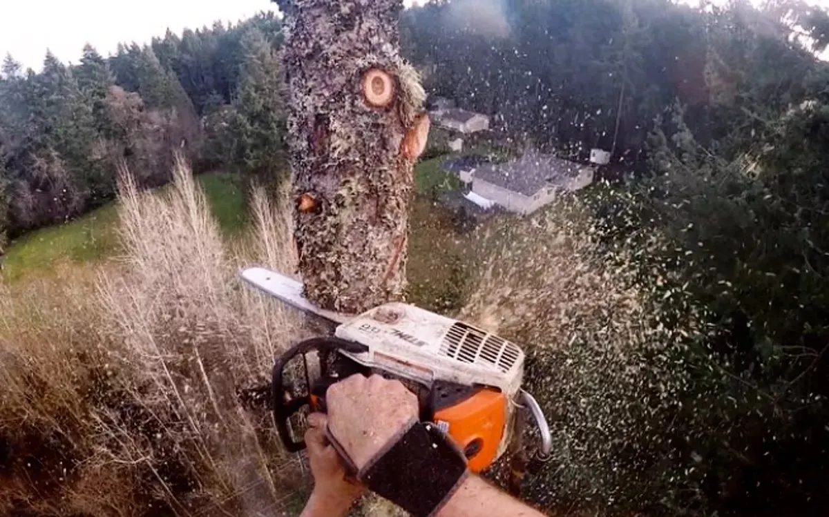 Yara Electric photo 4