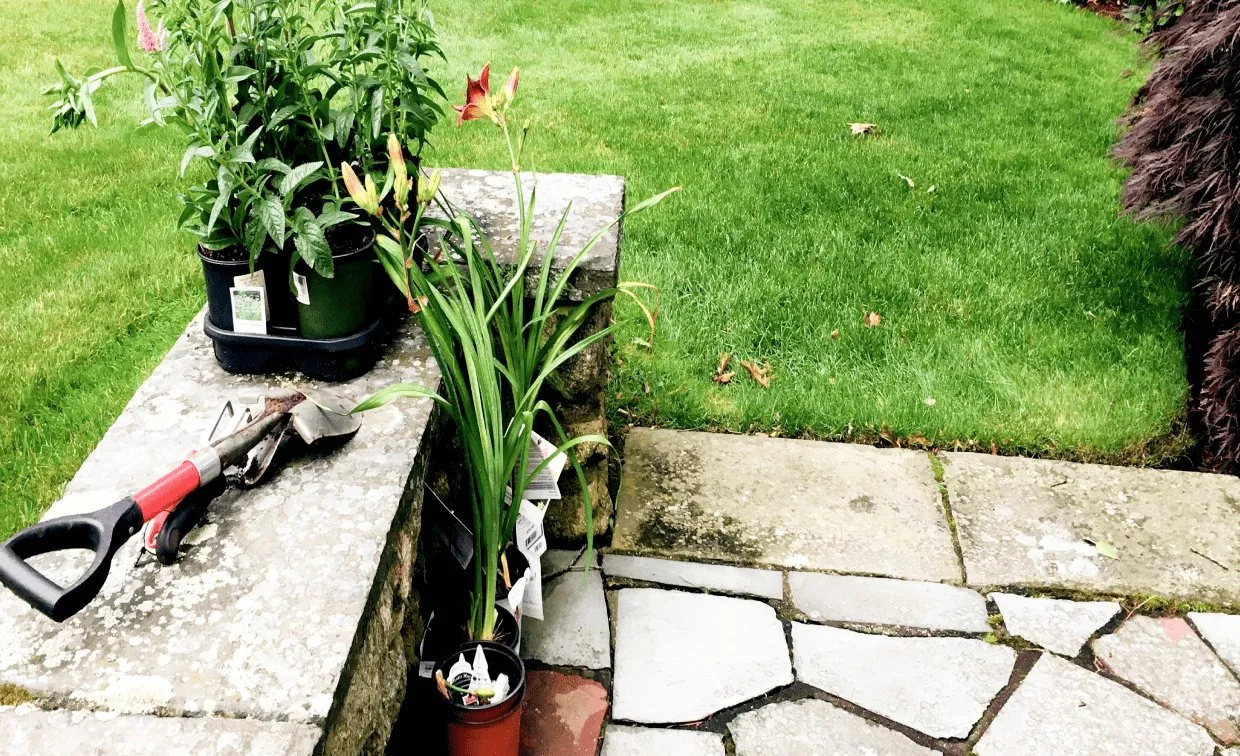 Yara Electric photo 1