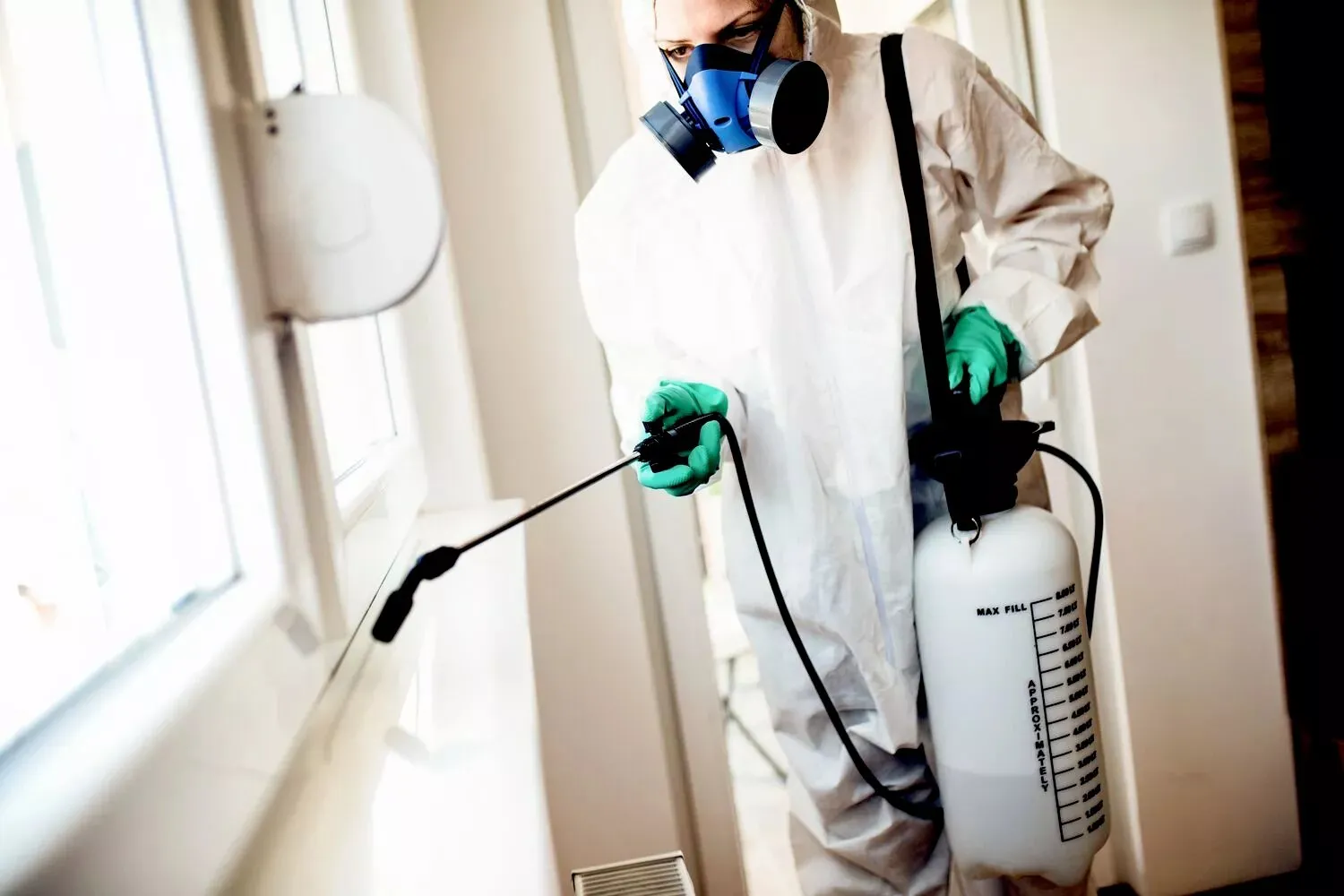 Yara Electric photo 11