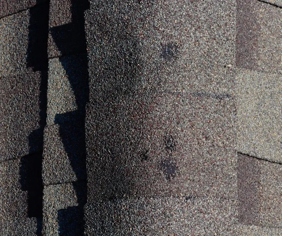 Shepherd Roofing & Renovations photo 7