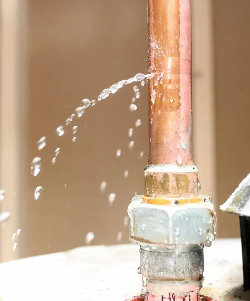 Sebastian’s Plumbing photo 6