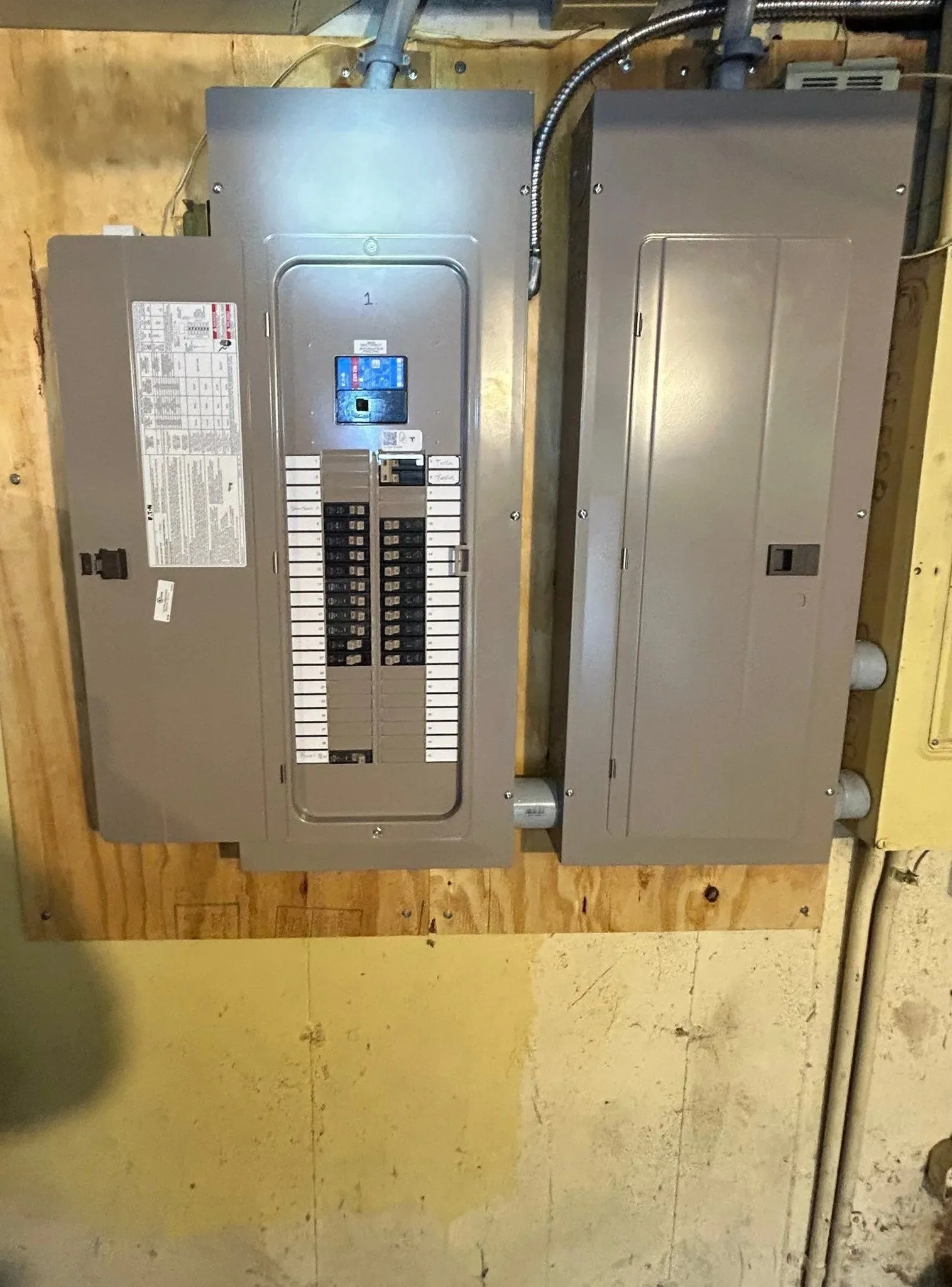 Helping Hands Electric photo 5