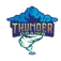 Thunder Drains logo