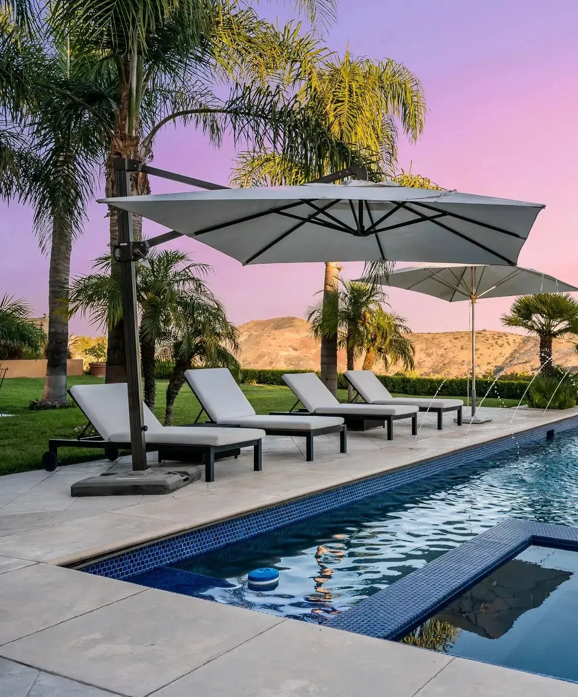 Worthey Aquatics, LLC photo 11