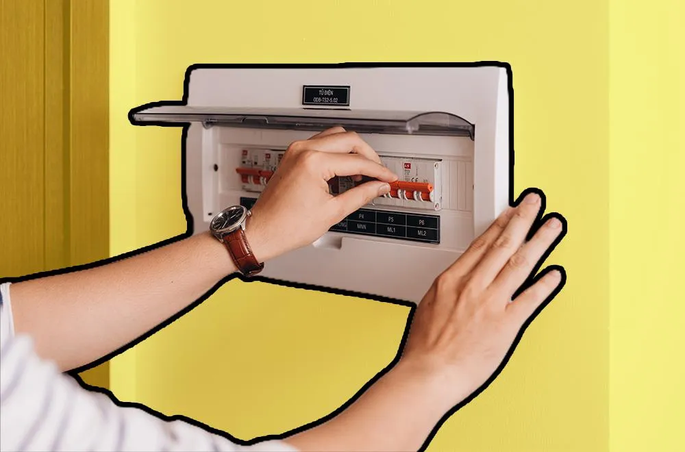 Mister Sparky First Coast photo 3