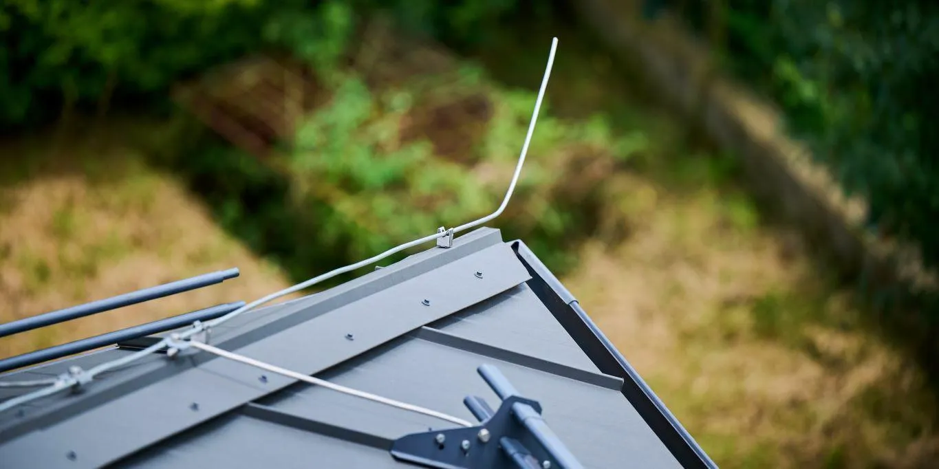 Mister Sparky First Coast photo 7