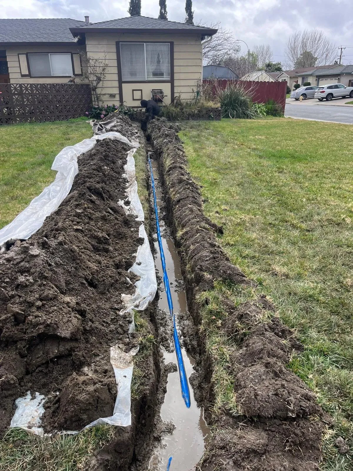 Red Tulip Plumbing photo 3