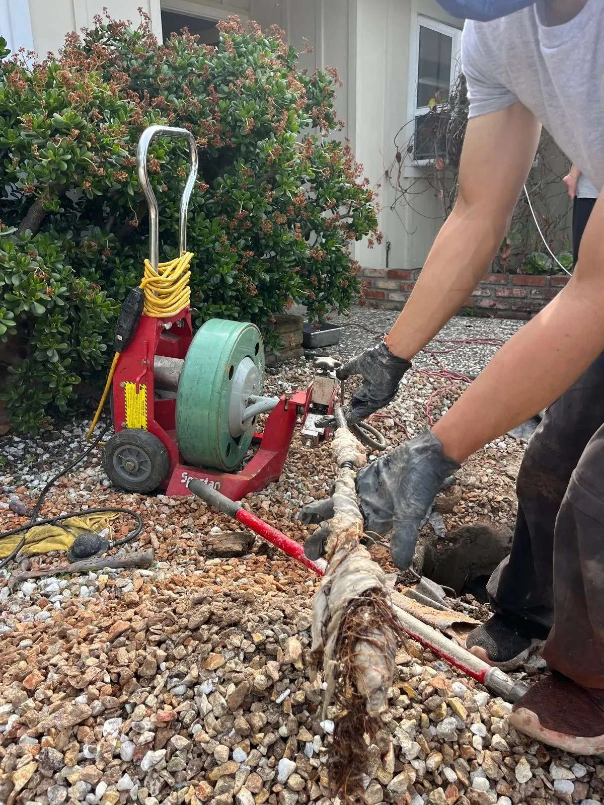 Red Tulip Plumbing photo 2