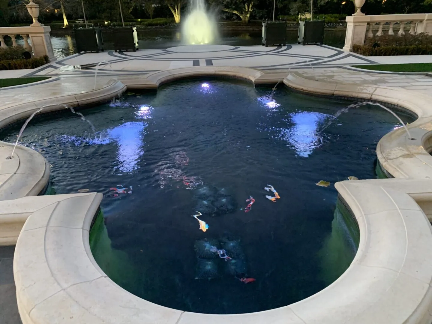 Las Colinas Pools & Spas photo 6