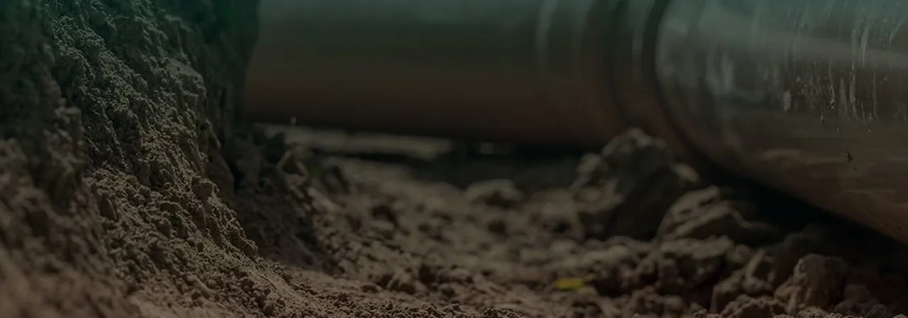 William J. Guarini Inc. photo 2