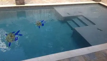 Top Gunn Pools Inc photo 11