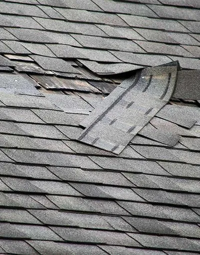 Morval Construction photo 3