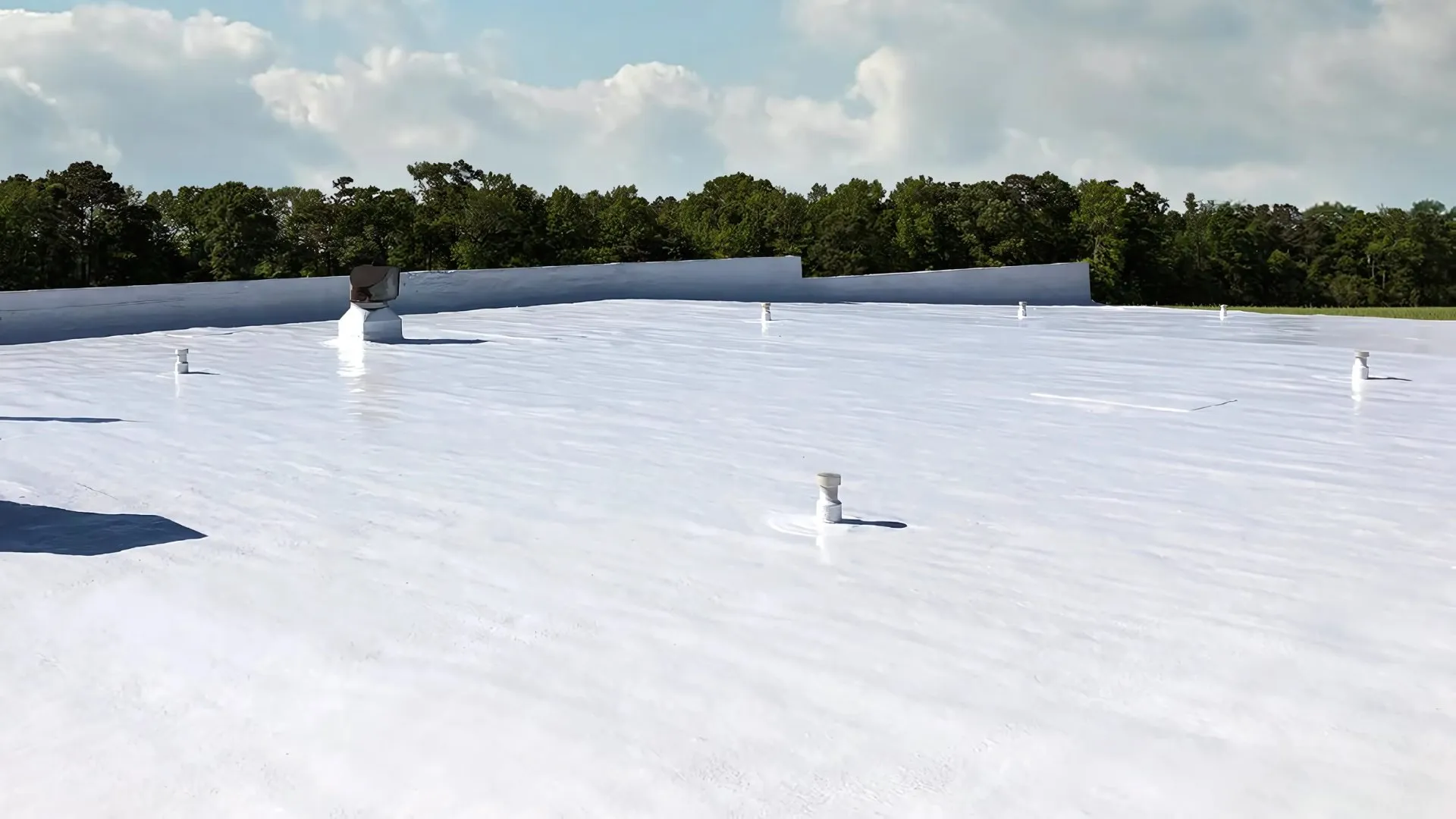 TOP GUN ROOF COATINGS photo 6