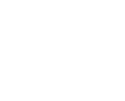 Broadview Roofing logo