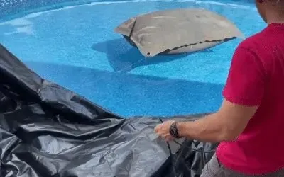 Atlanta Above Ground Pool Installation Pros photo 2