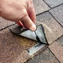 Evo Roof Repair Sacramento photo 13