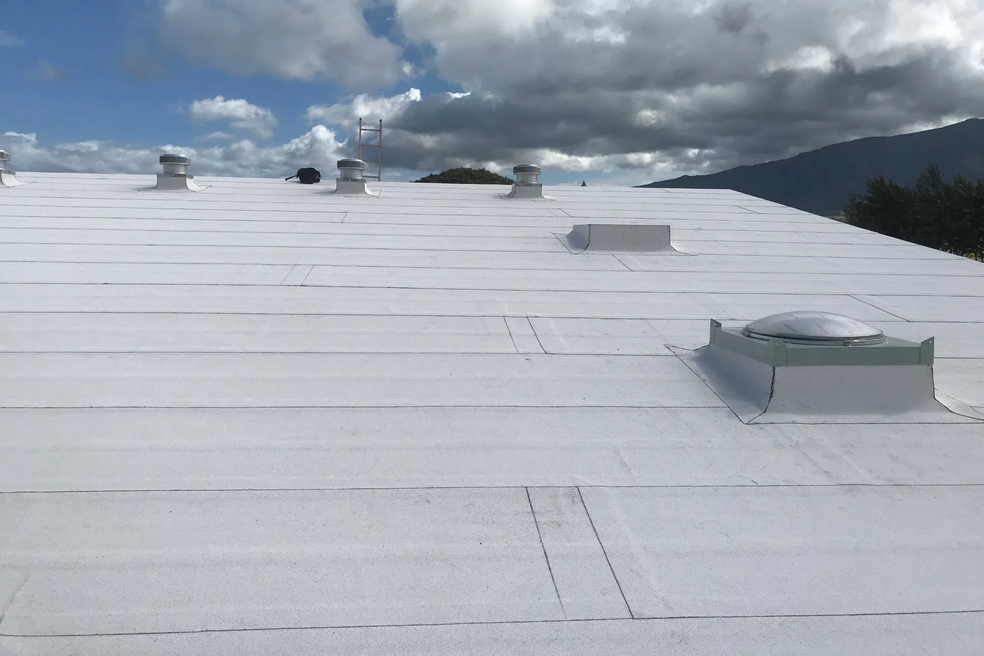 Oahu Roofing & Repairs Honolulu photo 6