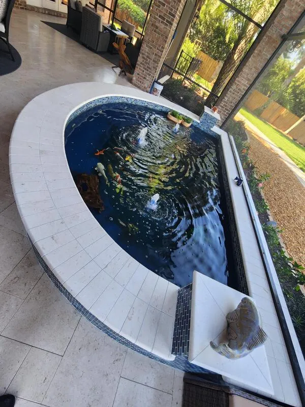 Costas Oasis Pool Builders, Construction, Remodeling Clearwater photo 16