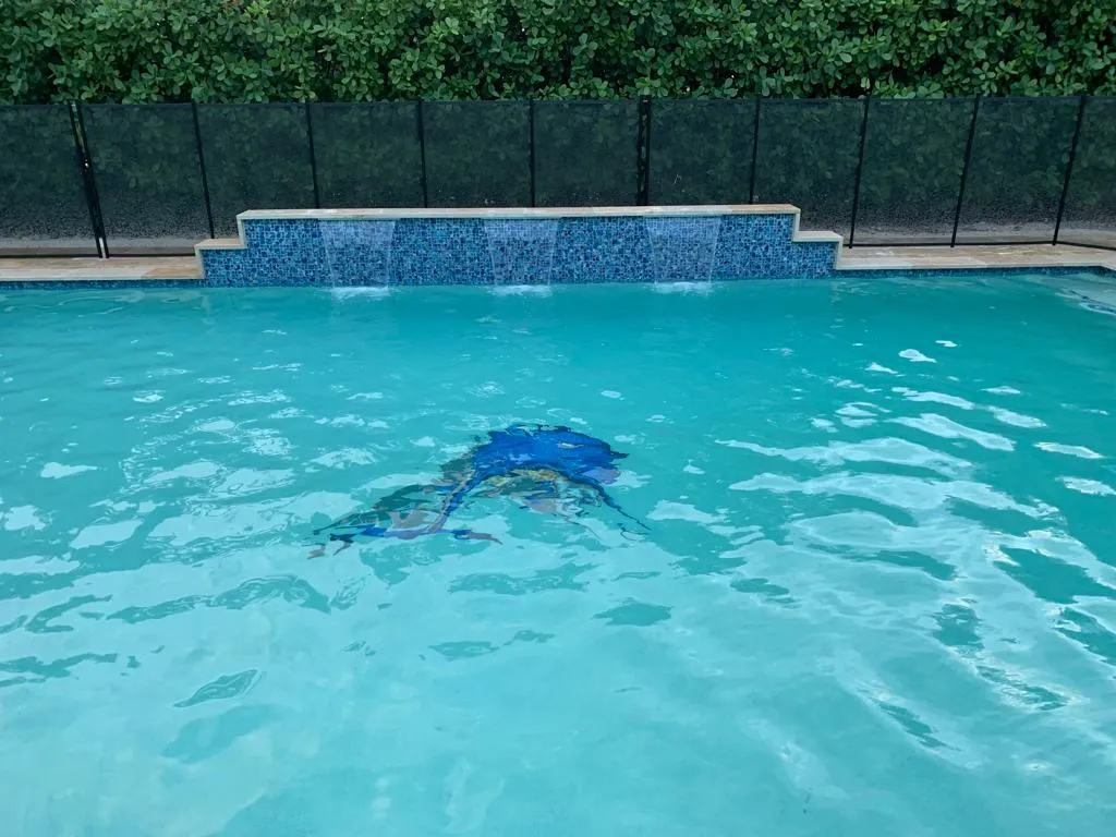 Fontaine Pools photo 17