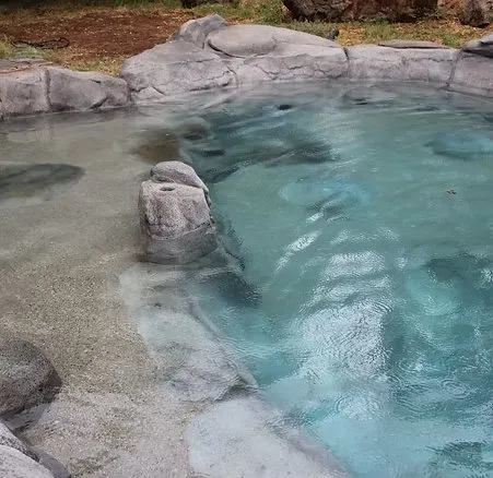 Yuba River Swimming Holes and Pools LLC photo 4