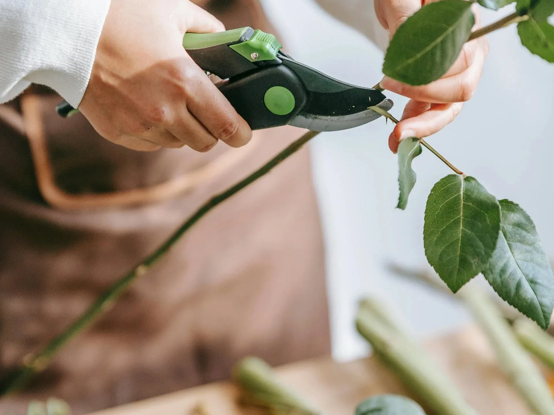 Marek Handyman photo 3