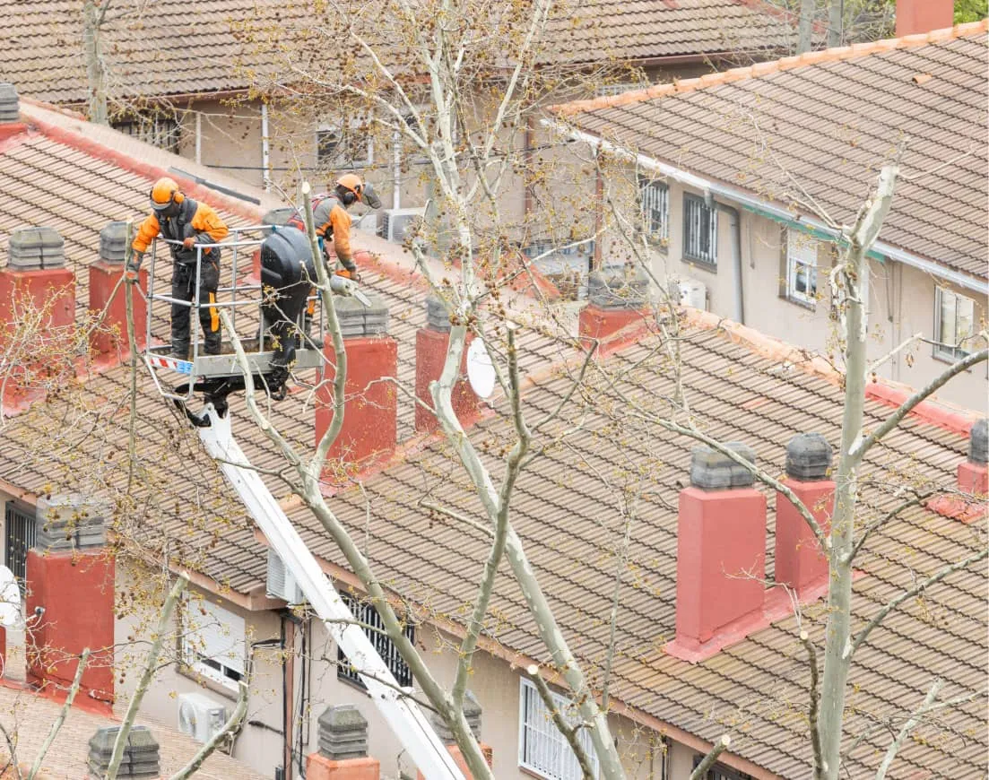 Better Roofers Saint Louis photo 1