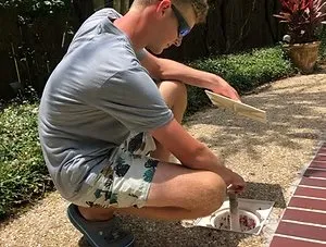 Paradise Pools photo 3