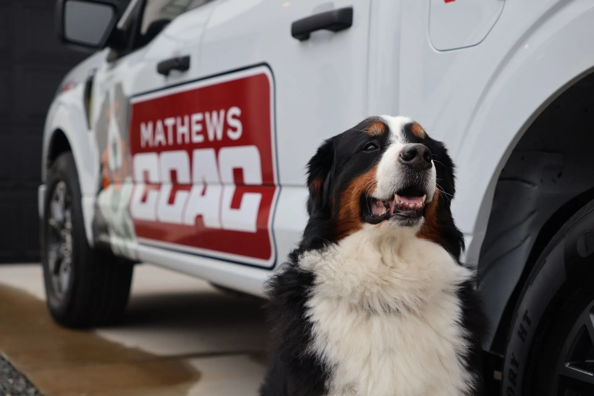 Mathews CCAC photo 1