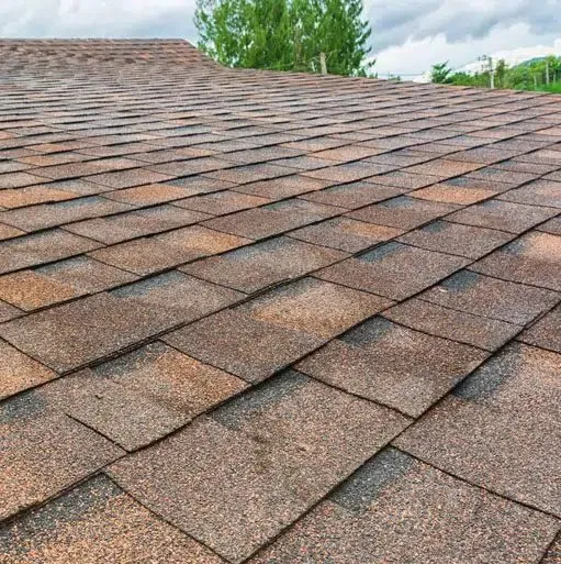 Seagate Roofing and Foundation Services photo 2