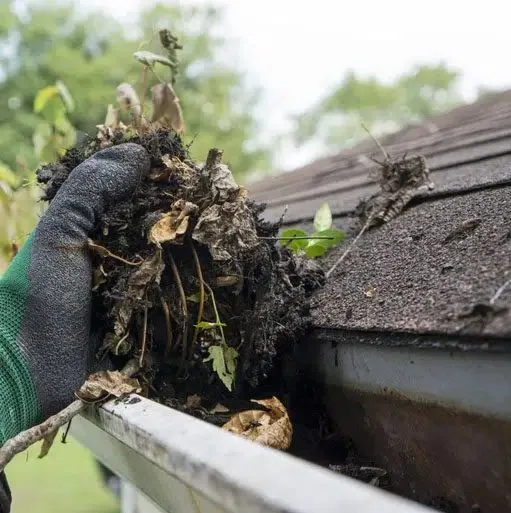 Seagate Roofing and Foundation Services photo 5