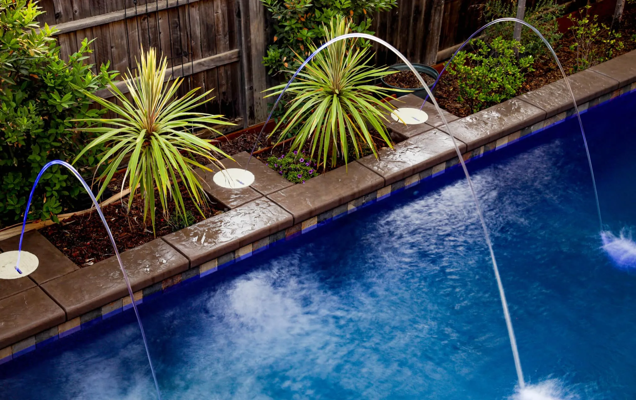 Premier Pools & Spas | Tampa Bay North photo 13